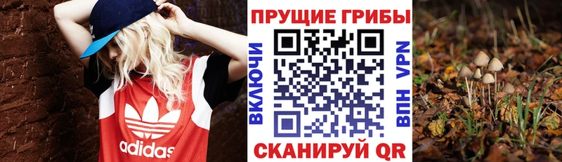 даркнет сайт  OMG онион  Галлюциногенные грибы прущие грибы  Рыбинск 